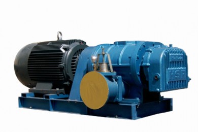 HSR175羅茨風(fēng)機